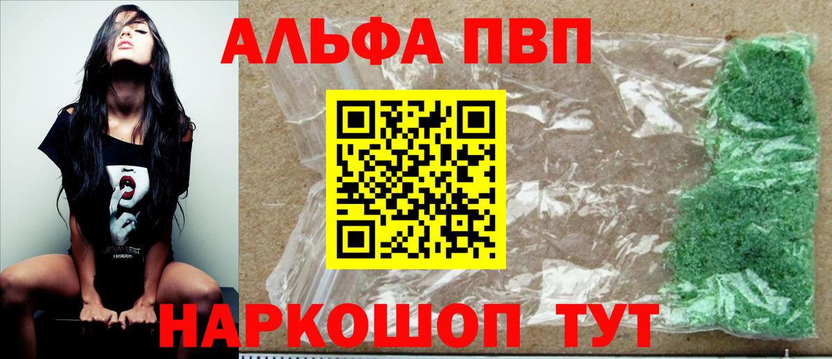 Alfa_PVP СК КРИС Малгобек