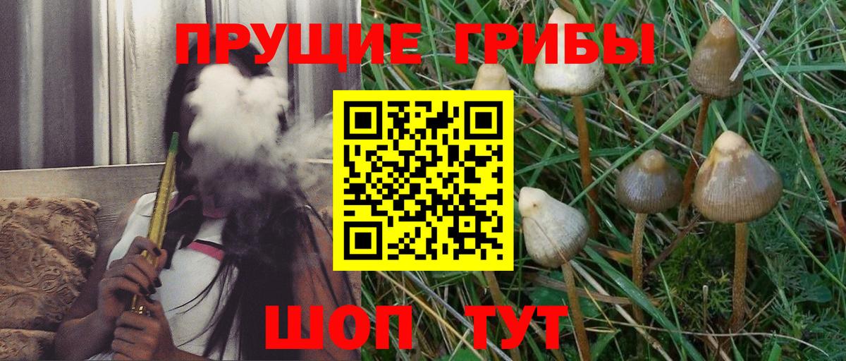 Галлюциногенные грибы ЛСД  Вход с VPN  Малгобек  Галлюциногенные грибы Cubensis 
